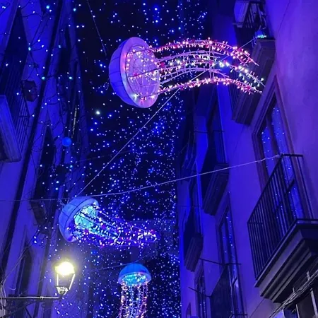 Le Due Costiere Bed & Breakfast